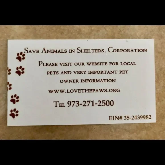 Sterling Silver 18” plated necklace with St Francis Medal FREE PRAYER CARD - Picture 6 of 7